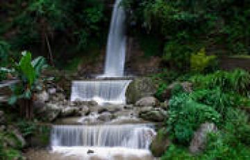 Family Getaway Lachen Tour Package for 10 Days from New Delhi