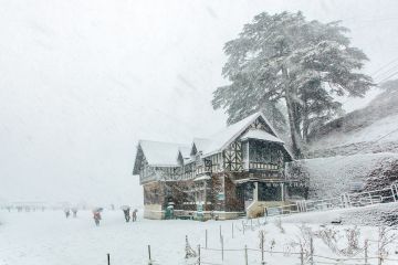 Heart-warming Shimla Tour Package for 3 Days from Delhi
