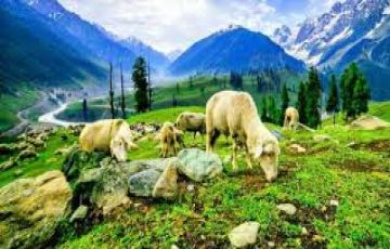 7 Days 6 Nights Chandigarh to Amritsar Holiday Package