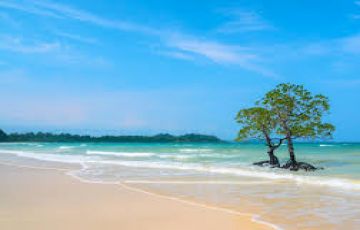 5 Days 4 Nights Port Blair, Havelock Island with Neil Island Trip Package