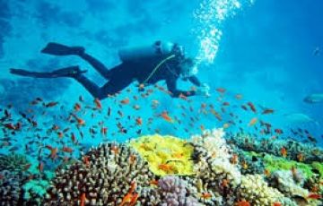 Delightful Andaman Tour Package 8 N and 9 D