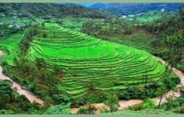 Experience 8 Days Delhi Holiday Package