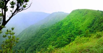 Experience 3 Days 2 Nights Cochin and Vagamon Holiday Package