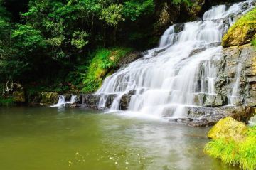 Magical 2 Days Coorg Vacation Package