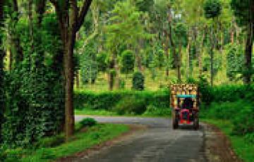 Beautiful 2 Days Coorg Vacation Package