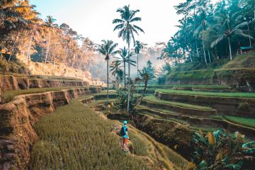 Memorable Bali Tour Package for 6 Days