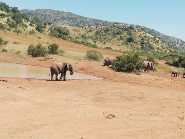 Experience 4 Days Sun City  Pilanesberg Nature Reserve to Johannesburg Apartheid Museum Tour Package