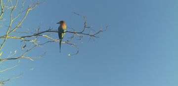 Best Panorama Route Tour Package for 12 Days 11 Nights from Chobe To Vic Falls To Johannesburg