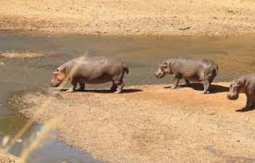 Experience 10 Days 9 Nights Lakenakuru Trip Package