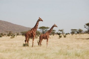 Experience 10 Days 9 Nights Lakenakuru Trip Package