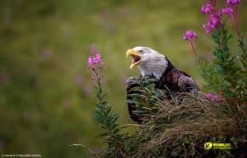 Experience 10 Days 9 Nights Lakenakuru Trip Package