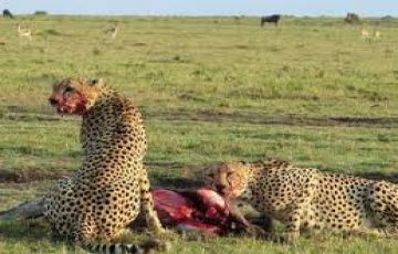 Experience 10 Days 9 Nights Lakenakuru Trip Package