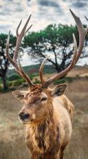 Experience 10 Days 9 Nights Lakenakuru Trip Package