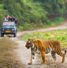 Experience 5 Days Jim Corbett Holiday Package