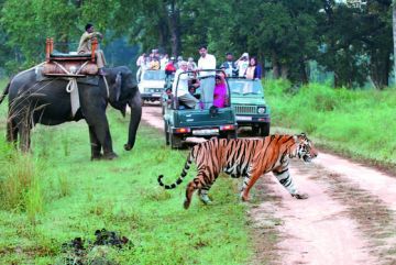 Best 2 Days Jim Corbett and Delhi Trip Package