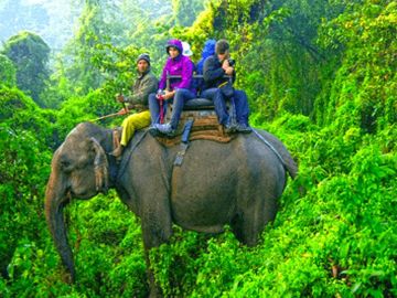 Ecstatic 6 Days Cochin, Munnar, Thekkady with Alleppey Tour Package