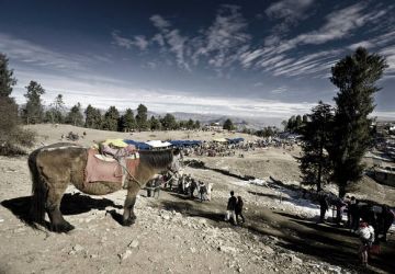 Heart-warming 3 Days Shimla Trip Package