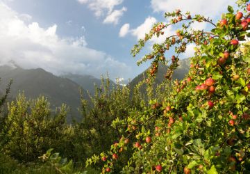 Memorable 4 Days 3 Nights Dharamshala with Kangra Trip Package