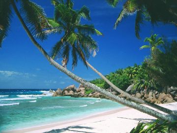 Best South Goa Tour Package for 4 Days from Mumbai