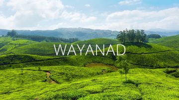 Wayanad Tour Package for 3 Days 2 Nights