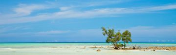 Experience 5 Days Port Blair, Havelock Island and Neil Island Trip Package