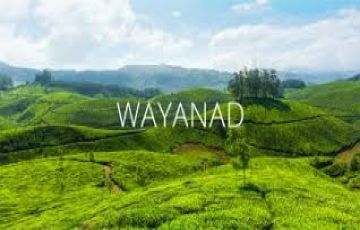 Ecstatic 5 Days Bangalore to Wayanad Vacation Package