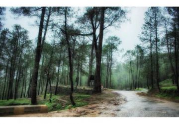 Beautiful Nainital Tour Package for 2 Days from Delhi