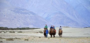 Beautiful 9 Days 8 Nights Srinagar, Kargil with Leh Ladakh Holiday Package