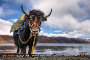 Beautiful 9 Days 8 Nights Srinagar, Kargil with Leh Ladakh Holiday Package