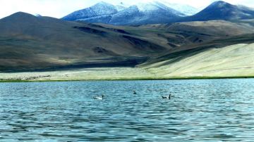 Beautiful 9 Days 8 Nights Srinagar, Kargil with Leh Ladakh Holiday Package