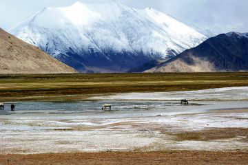 Magical 9 Days 8 Nights Leh Ladakh, Nubra with Pangong Trip Package