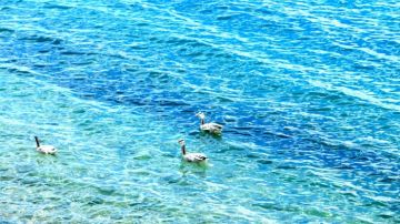 Magical 9 Days 8 Nights Leh Ladakh, Nubra with Pangong Trip Package