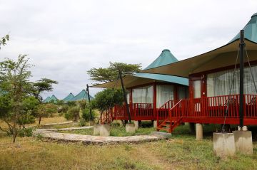 Family Getaway 3 Days Masai Mara and Masai Mara Holiday Package
