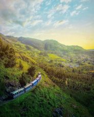 Heart-warming 3 Days Coimbatore with Ooty Tour Package