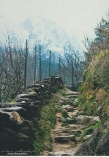 Memorable Manali Tour Package for 4 Days 3 Nights from New Delhi