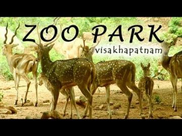 Memorable Vizag Tour Package for 3 Days