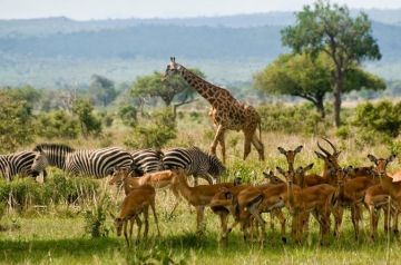 Heart-warming 2 Days Morogoro with Dar Es Salaam Tour Package