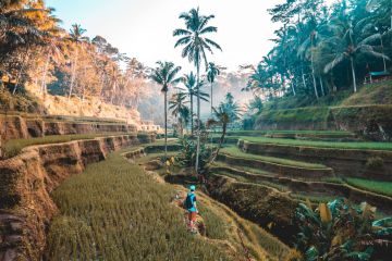 Heart-warming 5 Days Bali Tour Package