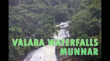 Magical 4 Days Cochin, Munnar and Alleppey Tour Package