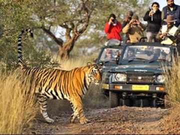 Pleasurable 4 Days Nagpur and Tadoba Trip Package