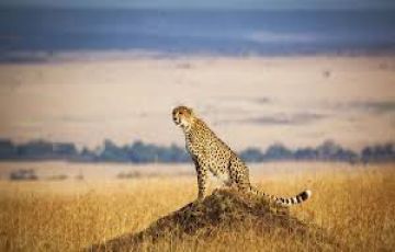Ecstatic 4 Days 3 Nights Lakenakuru Holiday Package