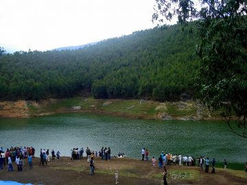 Ooty, Kodaikanal with Munnar Tour Package for 7 Days