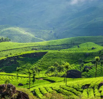 Pleasurable 4 Days Kanyakumari, Alleppey with Kumarakom Holiday Package