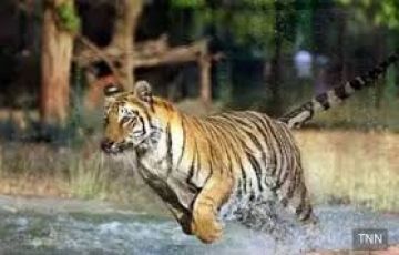 Family Getaway 3 Days 2 Nights Nagpur Holiday Package