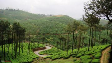 Best 8 Days 7 Nights Kerala Tour Package
