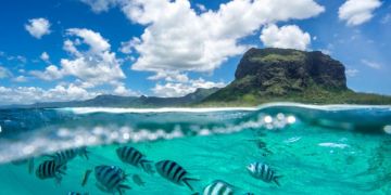 Pleasurable 7 Days Port Louis Vacation Package