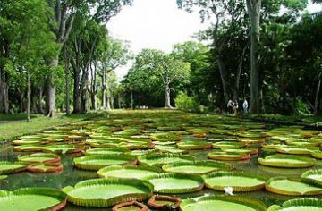 Pleasurable 7 Days Port Louis Vacation Package