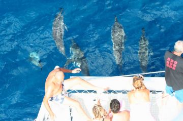 Pleasurable 7 Days Port Louis Vacation Package