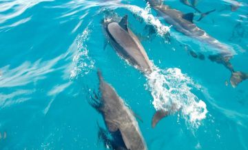 Pleasurable 7 Days Port Louis Vacation Package