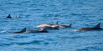 Pleasurable 7 Days Port Louis Vacation Package